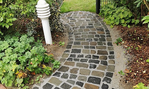 example-image