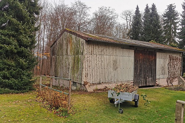 Pflege von Grünfassaden