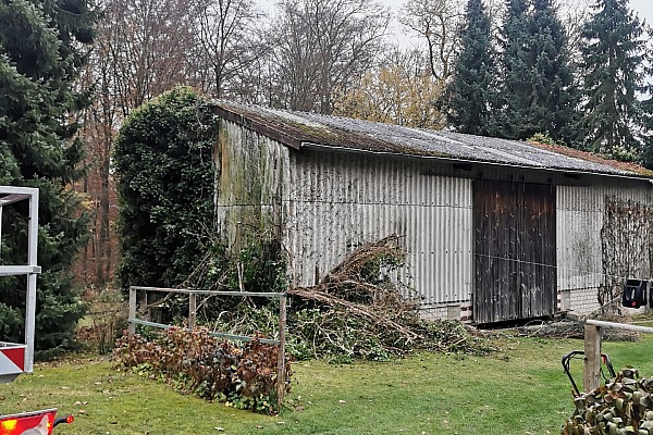 Pflege von Grünfassaden