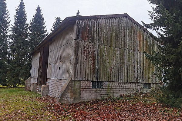 Pflege von Grünfassaden